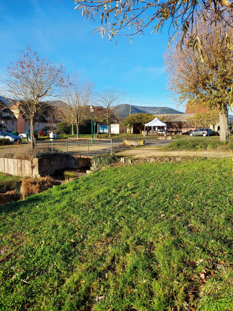 468038164_541703962110614_3861088087184228776_n