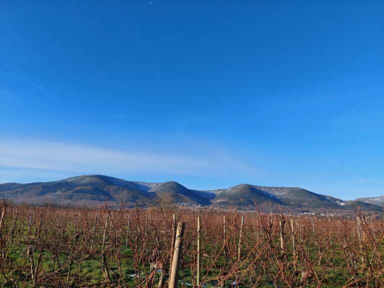 468059803_541703685443975_6519617806183102684_n