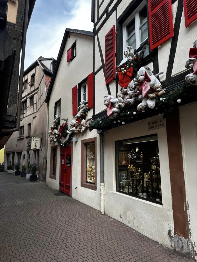 468071704_494246293666772_7637803534450805284_n