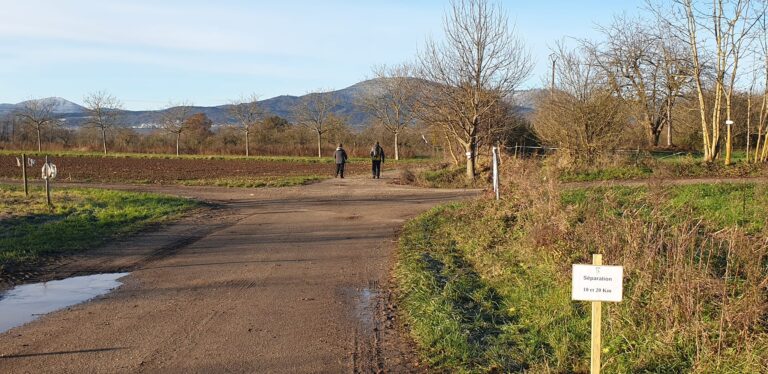 468143595_8666595766727199_7550491727537111990_n