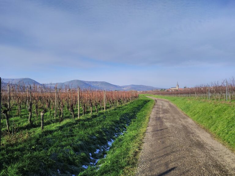 468164642_8656478911096262_6777753726076698372_n