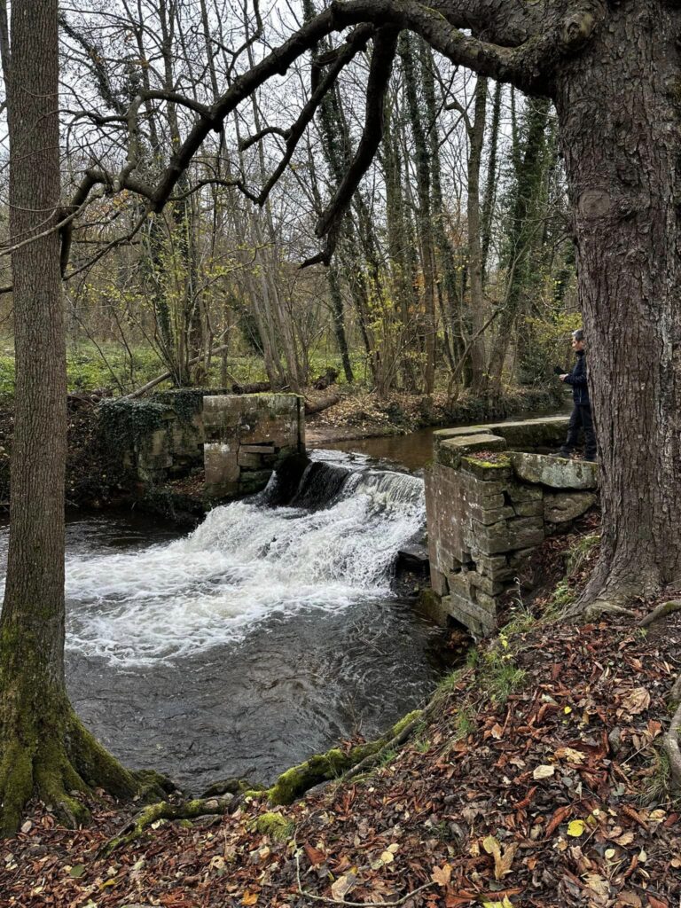 468182236_494246007000134_274837193270211816_n