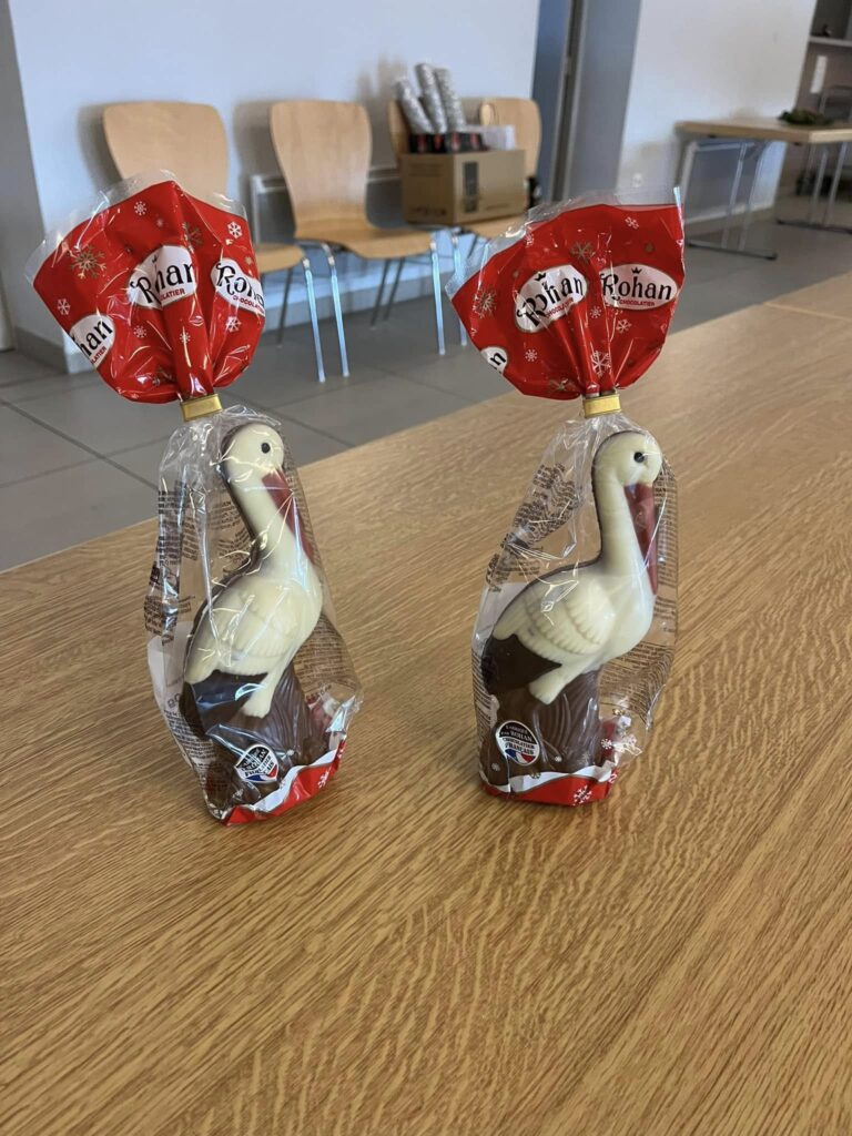 468307812_3949577501931597_5207248306898123434_n