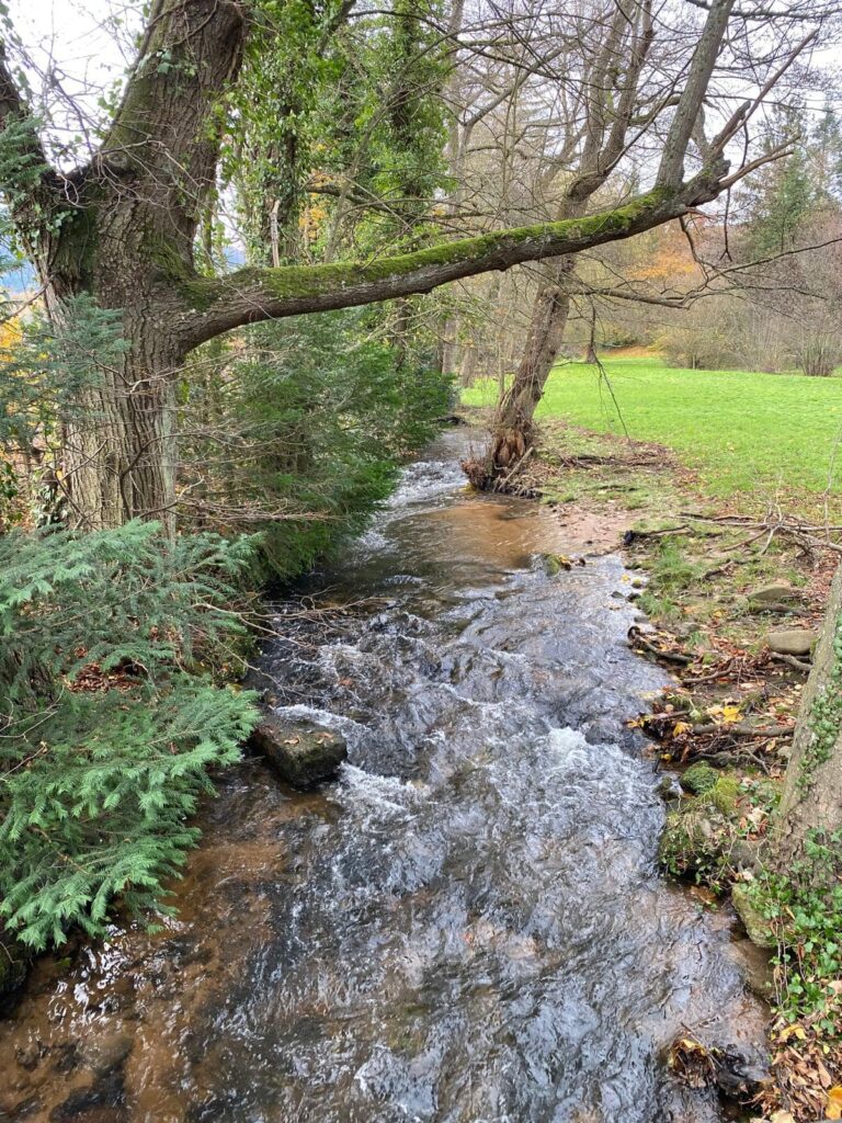 468309849_494245200333548_300345285650436791_n