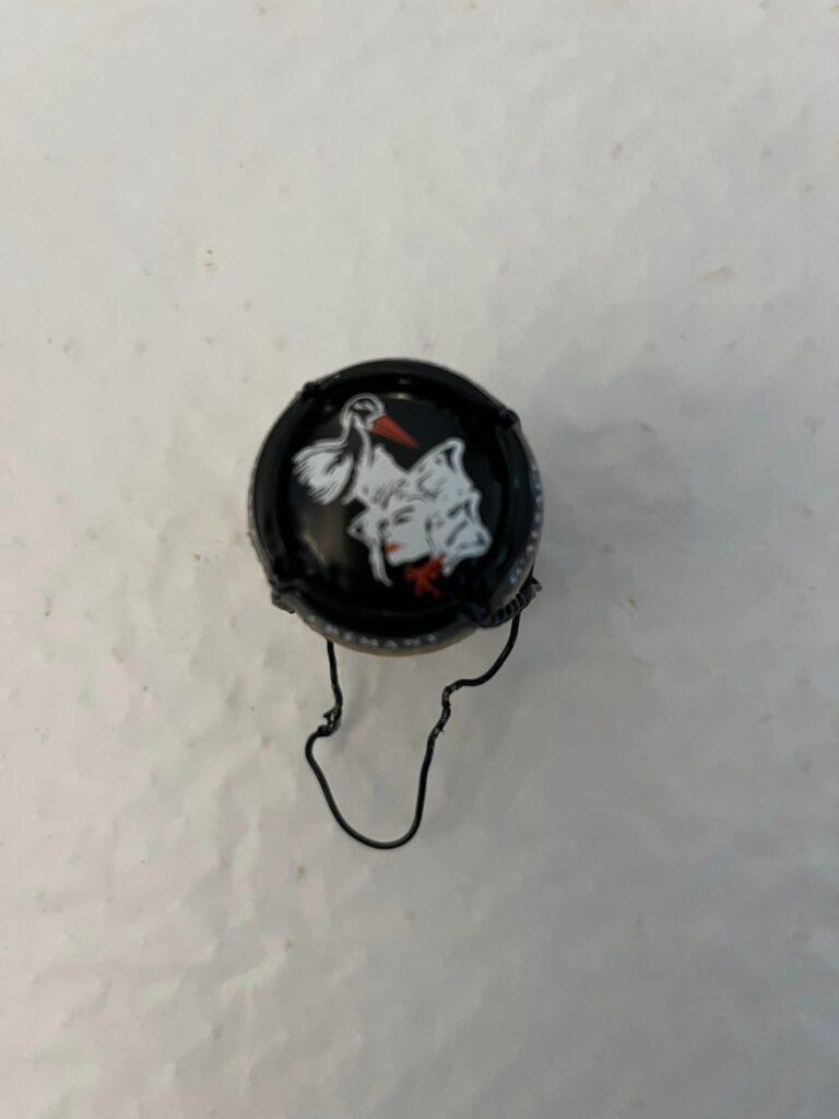 468321346_2529077080614736_8230362807214571110_n