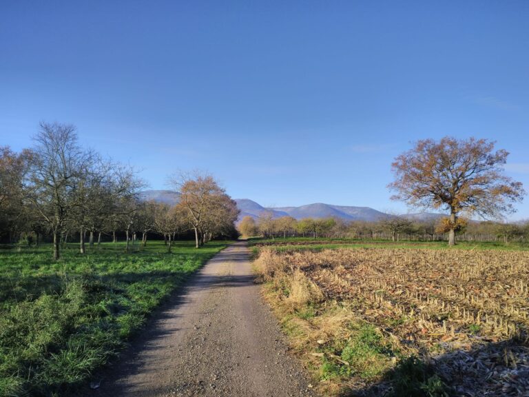 468328440_8656477371096416_788300849124654650_n