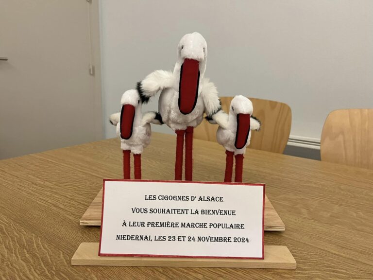 468352446_3949582421931105_249066304225508351_n (1)