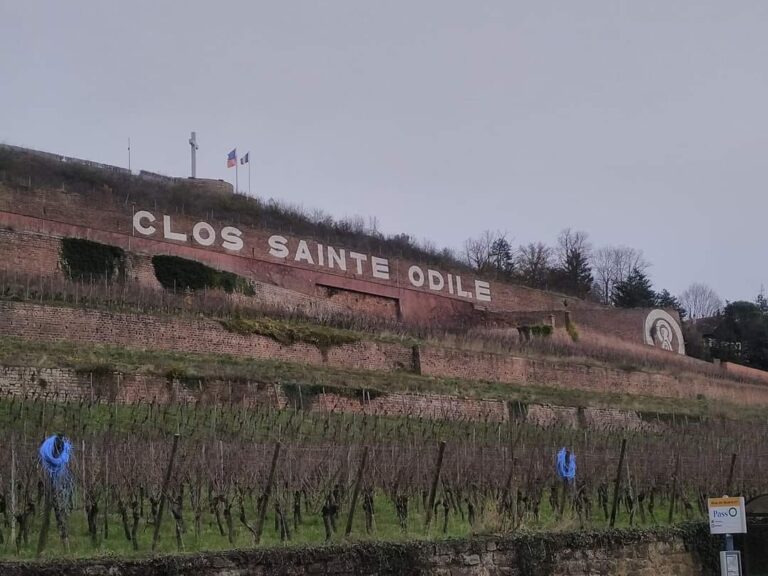 468392871_8672255049494604_7131902933450887588_n