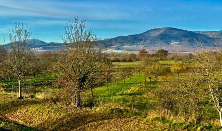 FB_IMG_1732606742570