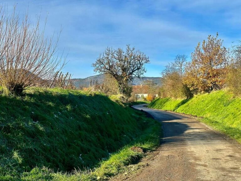 FB_IMG_1732606751174