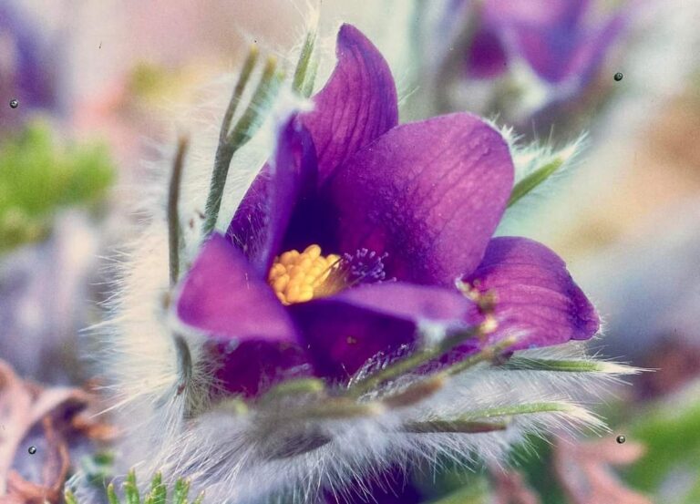 FB_IMG_1732606798328