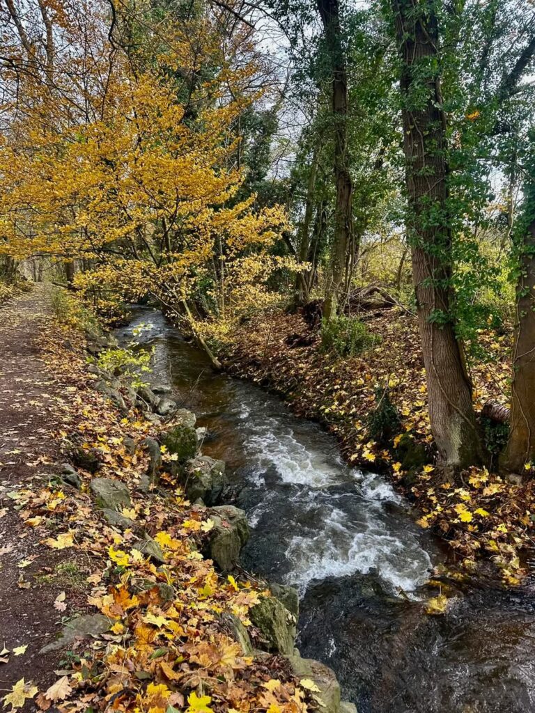 FB_IMG_1732606876056