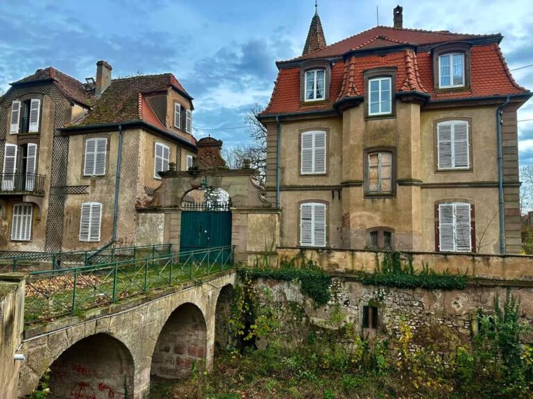 FB_IMG_1732606890395