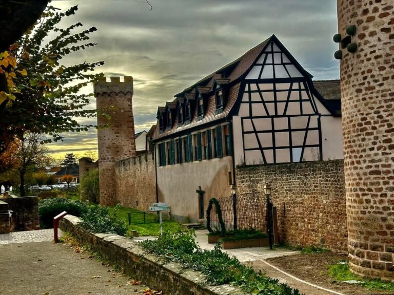 FB_IMG_1732606915945